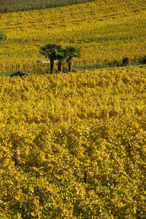 Weingut Wolkanhof Eppan an der Weinstraße Eksteriør billede