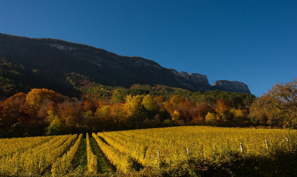Weingut Wolkanhof Eppan an der Weinstraße Eksteriør billede