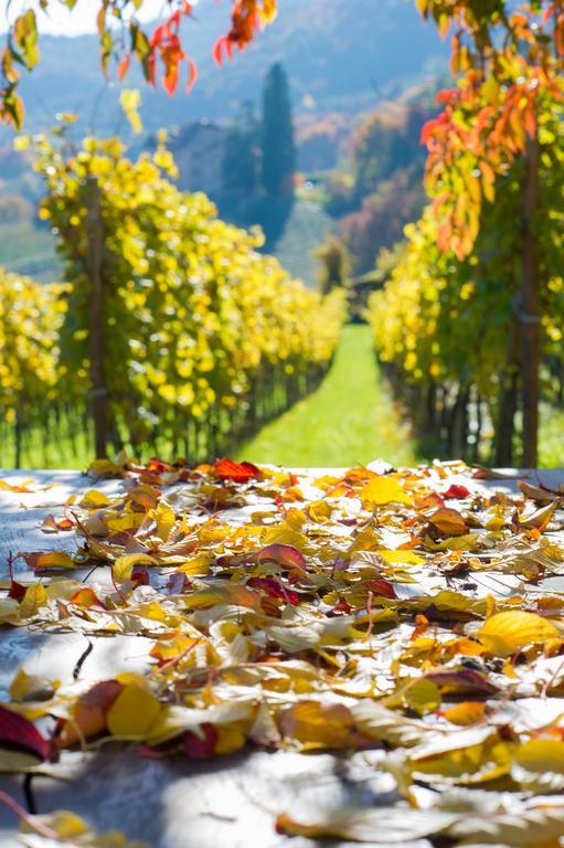 Weingut Wolkanhof Eppan an der Weinstraße Eksteriør billede